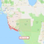 1.14 Acre Residential Lot For Sale Naples Florida   Further Reduced   Golden Gate Estates Naples Florida Map