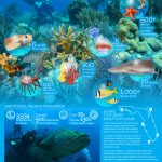 10 Great Spots For Snorkeling And Scuba Diving In Florida | Visit   Florida Wreck Diving Map