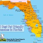 10 Of The Best Pet Friendly Beaches In Florida | Gopetfriendly   Best Florida Gulf Coast Beaches Map