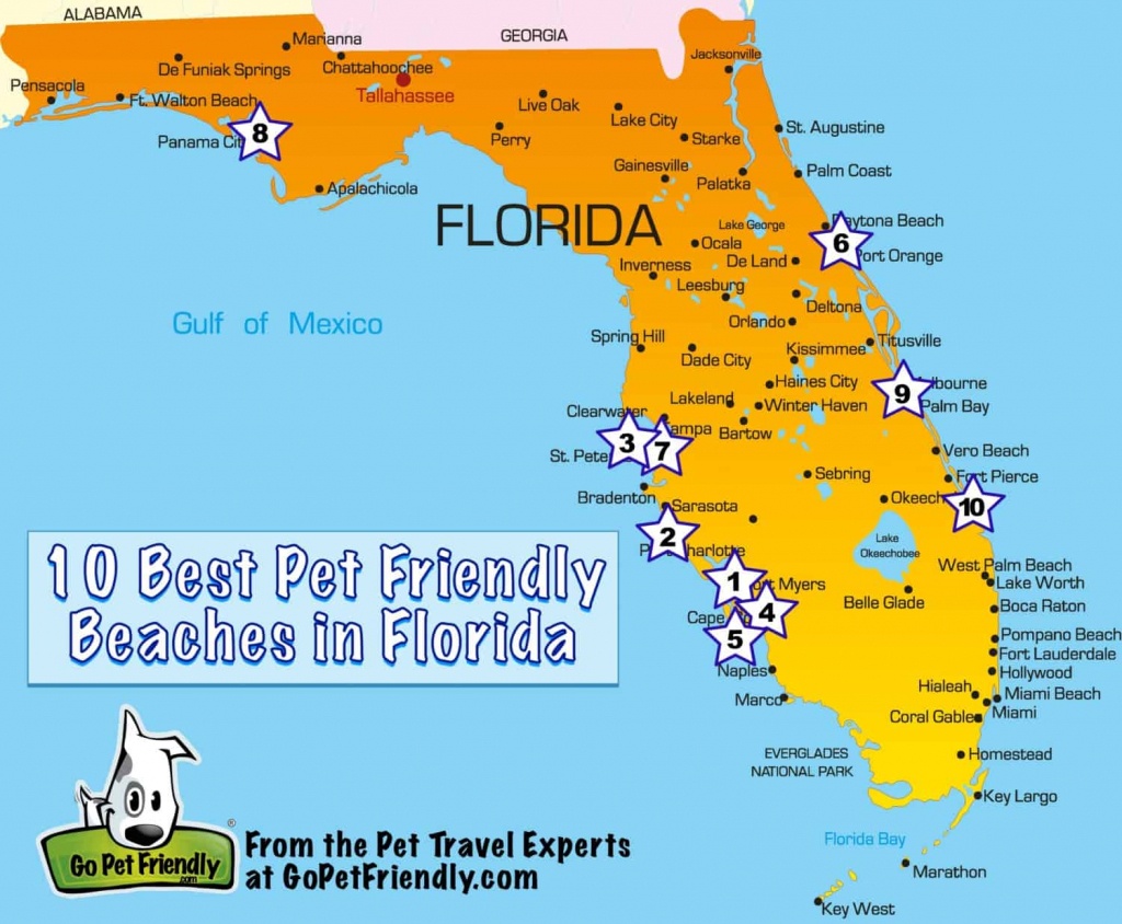 10 Of The Best Pet Friendly Beaches In Florida | Gopetfriendly - Map Of Florida Beaches Near Orlando