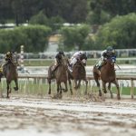 19 Horses Died At California Race Track In Past 2 Months, Rain   Horse Race Tracks In California Map