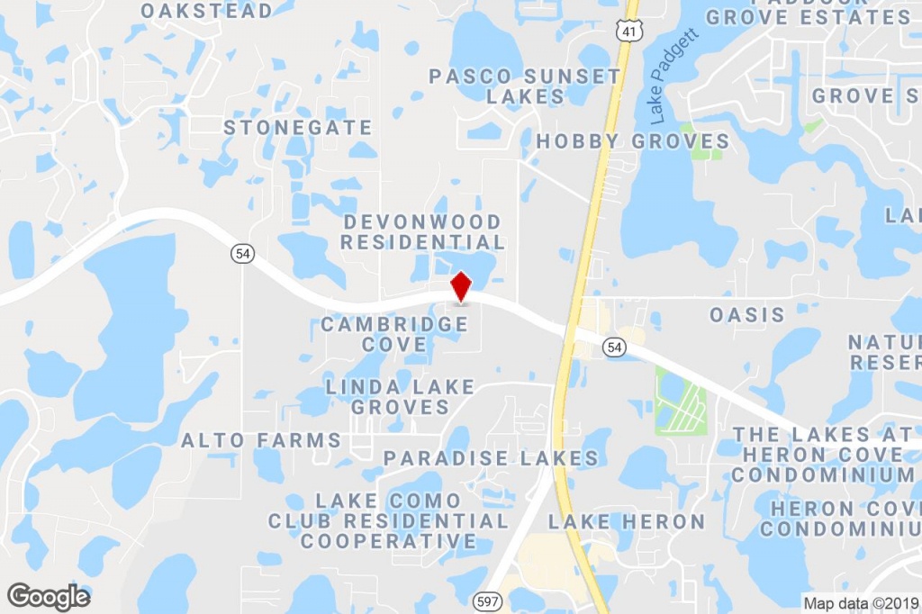 20826 State 54 Rd, Lutz, Fl, 33558 - Commercial Property For Sale On - Lutz Florida Map