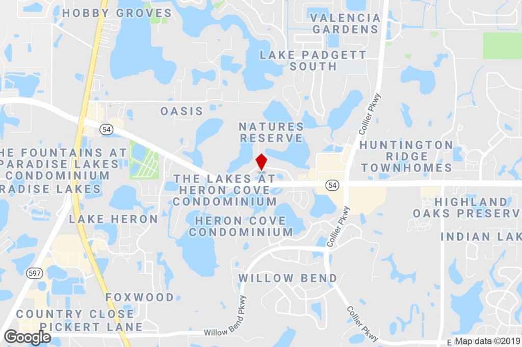 22299 Sr 54, Lutz, Fl, 33549 - Storefront Property For Lease On - Lutz Florida Map