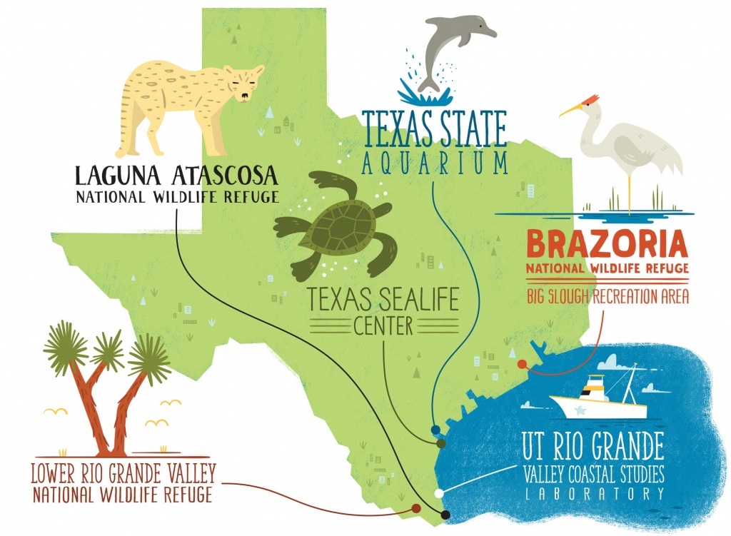 5 Texas Cities Where You Can Discover Your Inner Science Geek - Texas State Aquarium Map