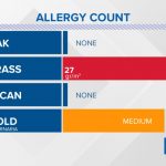 Allergy In Austin | Kvue   Allergy Map Texas