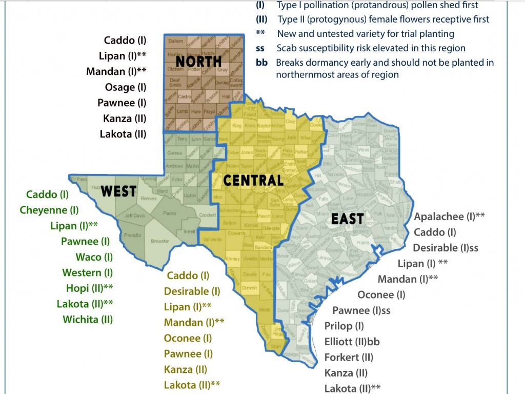 Am Pecan Tree Recommendations For Texas. Best To Grow A Type 1 With - Texas Tree Map