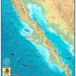 Baja Wall Map   The Map Shop   Baja California Topographic Maps