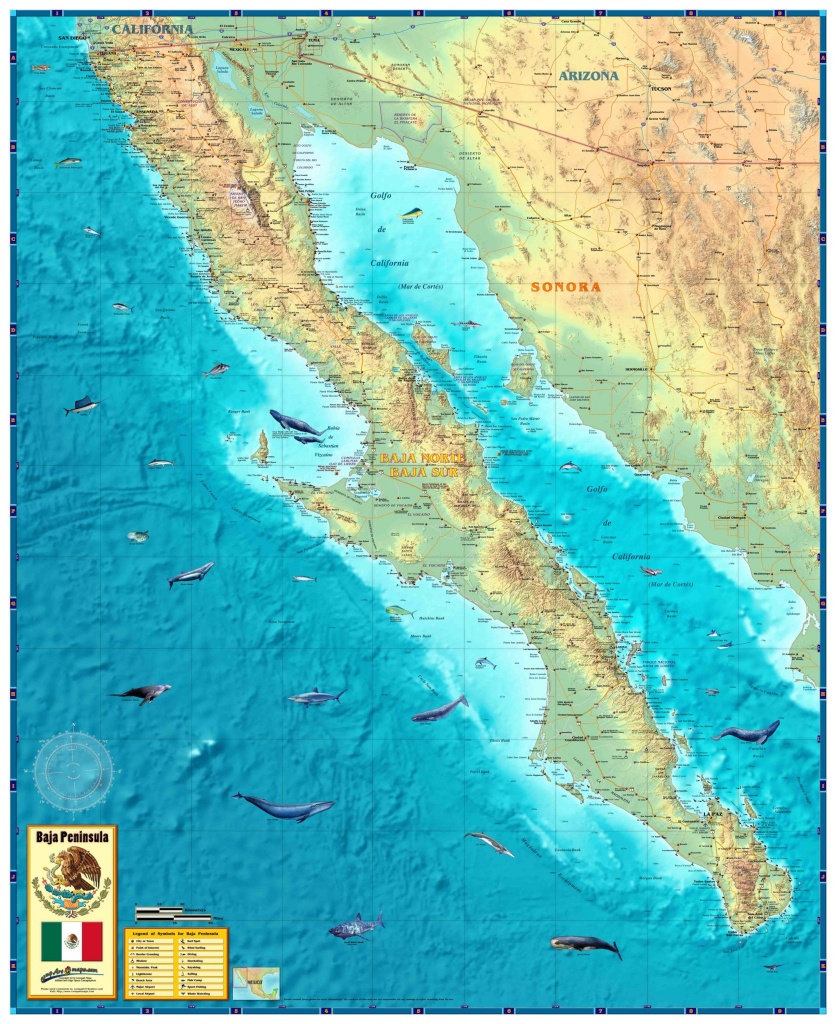 Baja Wall Map - The Map Shop - Baja California Topographic Maps