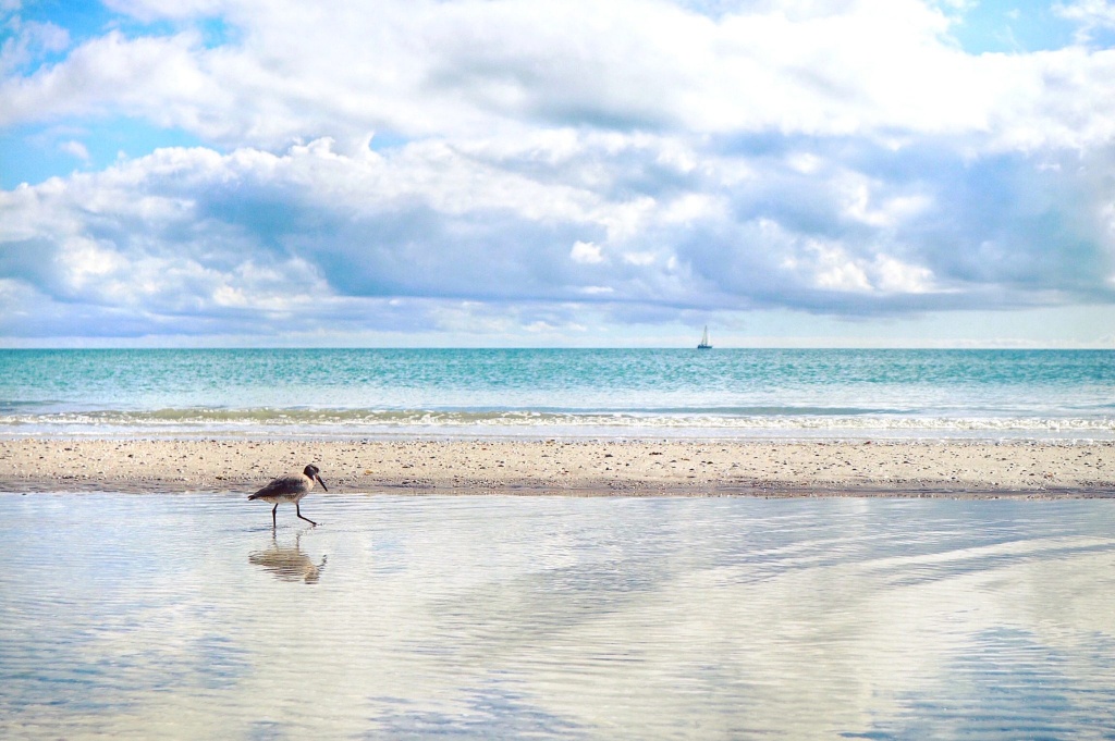 Beaches, Boardwalks, And Bucket List Moments In Southwest Florida - Map Of Sw Florida Beaches