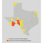 Bear Safety For Hunters In Texas   Texas Public Hunting Map