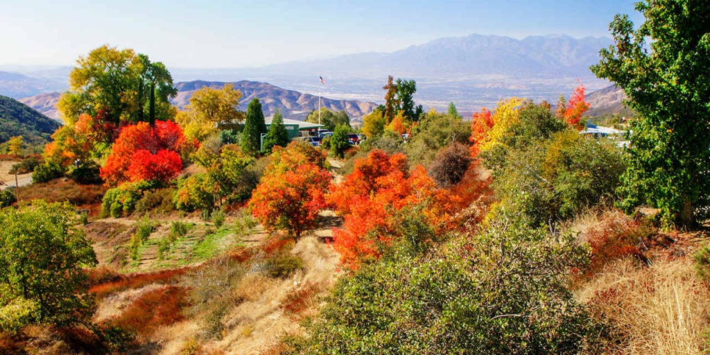 Best Places For California Autumn Leaves | Visit California - California Fall Color Map 2017