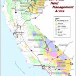 California   Herd Management Areas | Bureau Of Land Management   Blm Maps Southern California