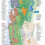 California's Wine Growing Regions | Infographics | Italian Wine   California Wine Appellation Map