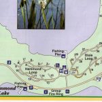 Campground Map – Lake Louisa State Park – Cleremont – Florida – Florida State Campgrounds Map