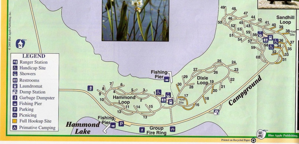 Campground Map - Lake Louisa State Park - Cleremont - Florida - Florida State Campgrounds Map