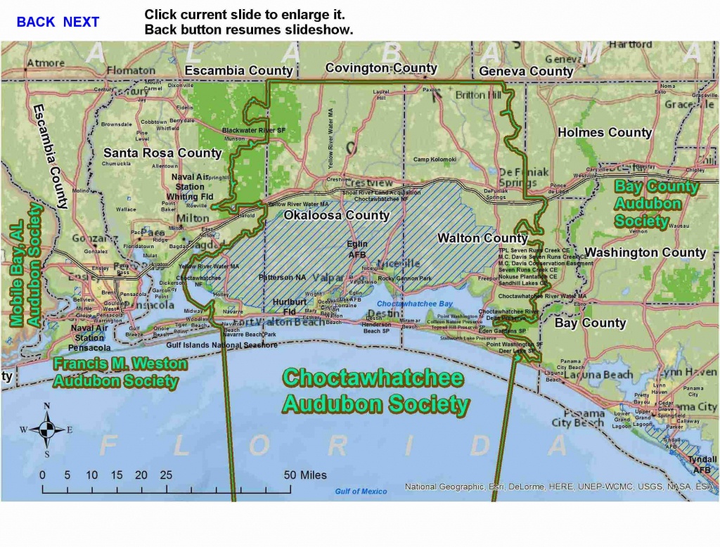 Choctawhatchee Audubon Society | Bird Hub - Great Florida Birding Trail Map