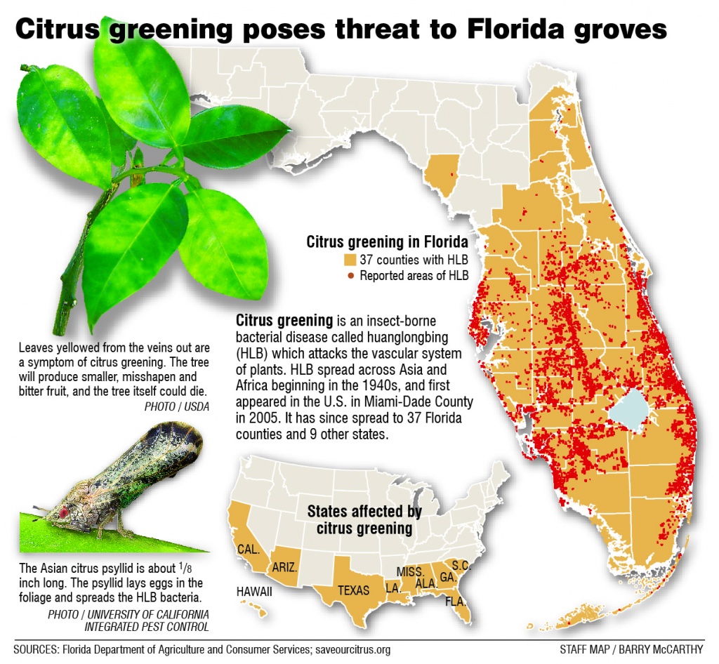 Citrus Greening: Florida&amp;#039;s Bittersweet Harvest - Extra - Where Are Oranges Grown In Florida Map