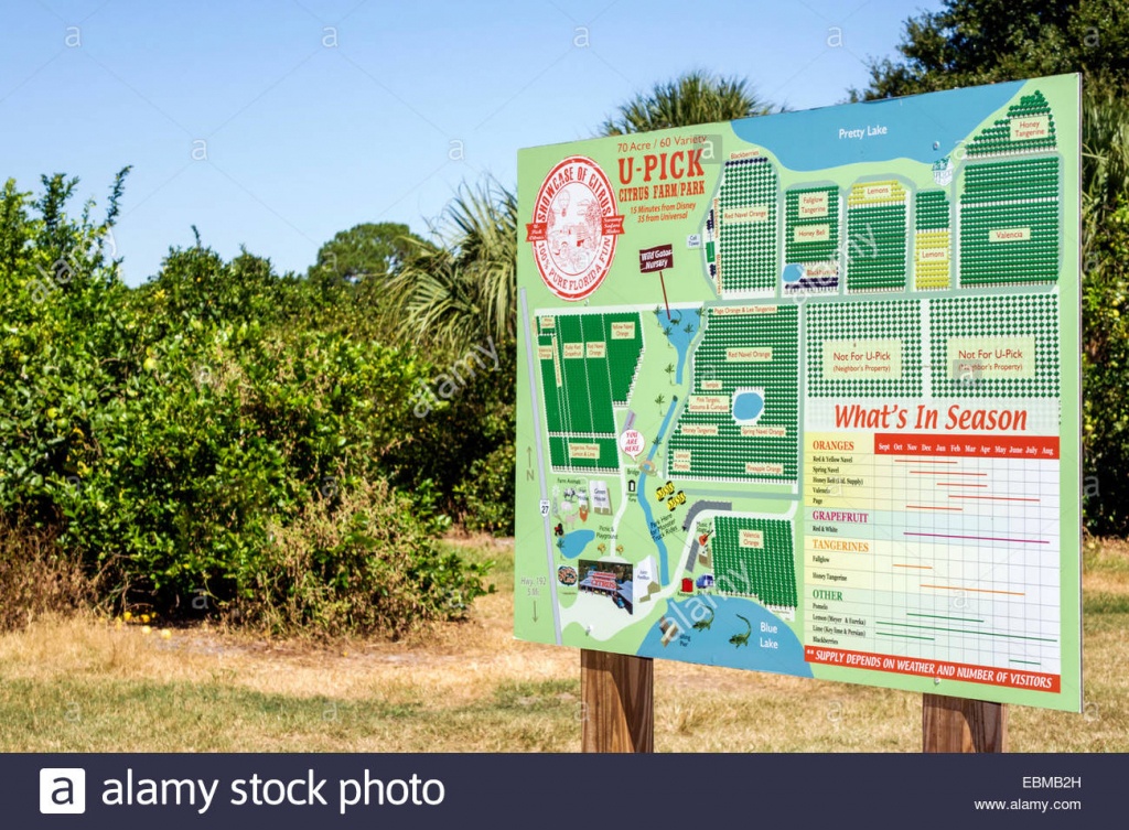 Clermont Florida Showcase Of Citrus Orange Grove Tangerine Lemon - Florida Orange Groves Map