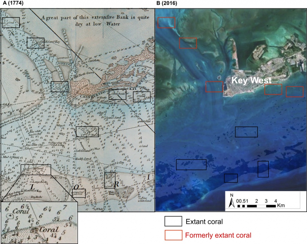 Colby Professor Maps Stunning Decline Of Florida Coral Reefs Since - Coral Reefs In Florida Map