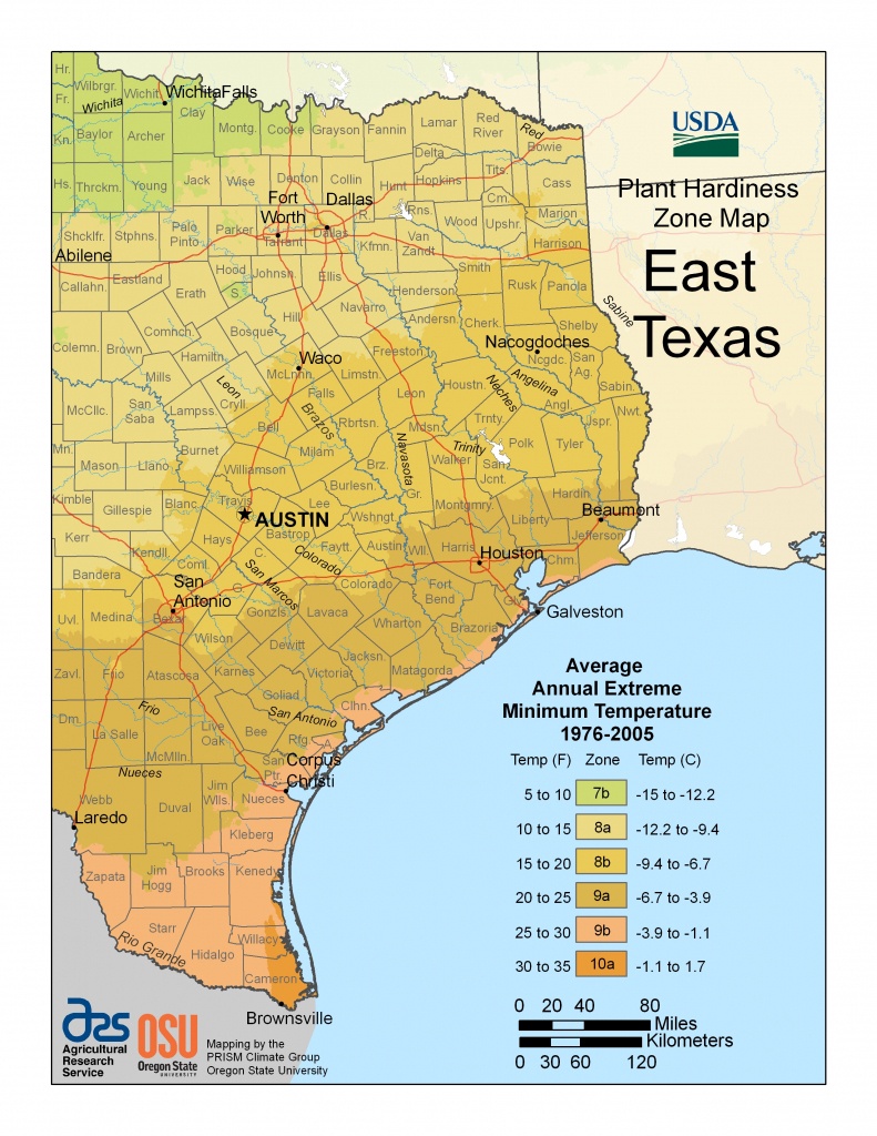 Cold Hardiness Zone Map | - Texas Garden Zone Map