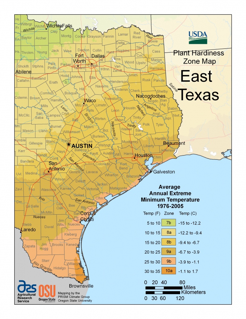 Cold Hardiness Zone Map | - Usda Map Texas