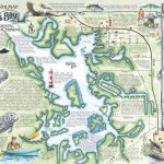 Crystal River's Spring Maps | The Souvenir Map & Guide Of Kings Bay   Central Florida Springs Map