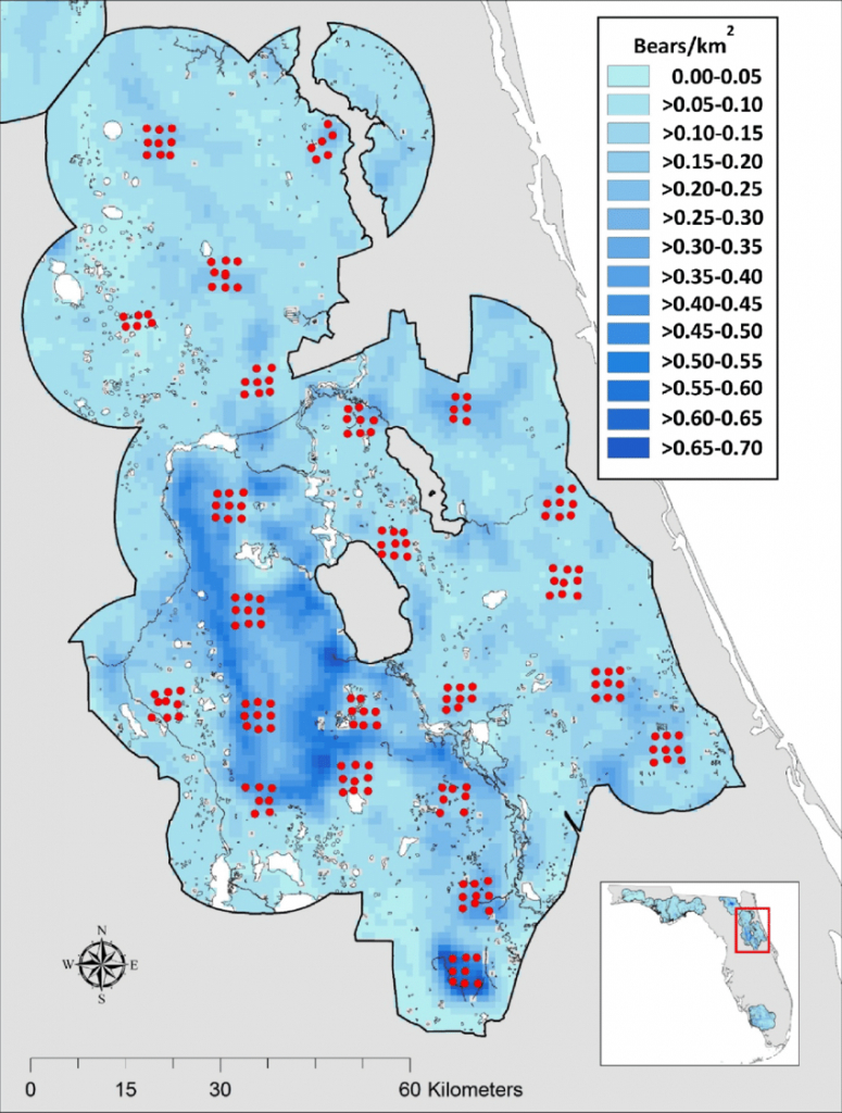 Density Surface Map For Florida Black Bears In The Ocala-St. Johns - Bears In Florida Map