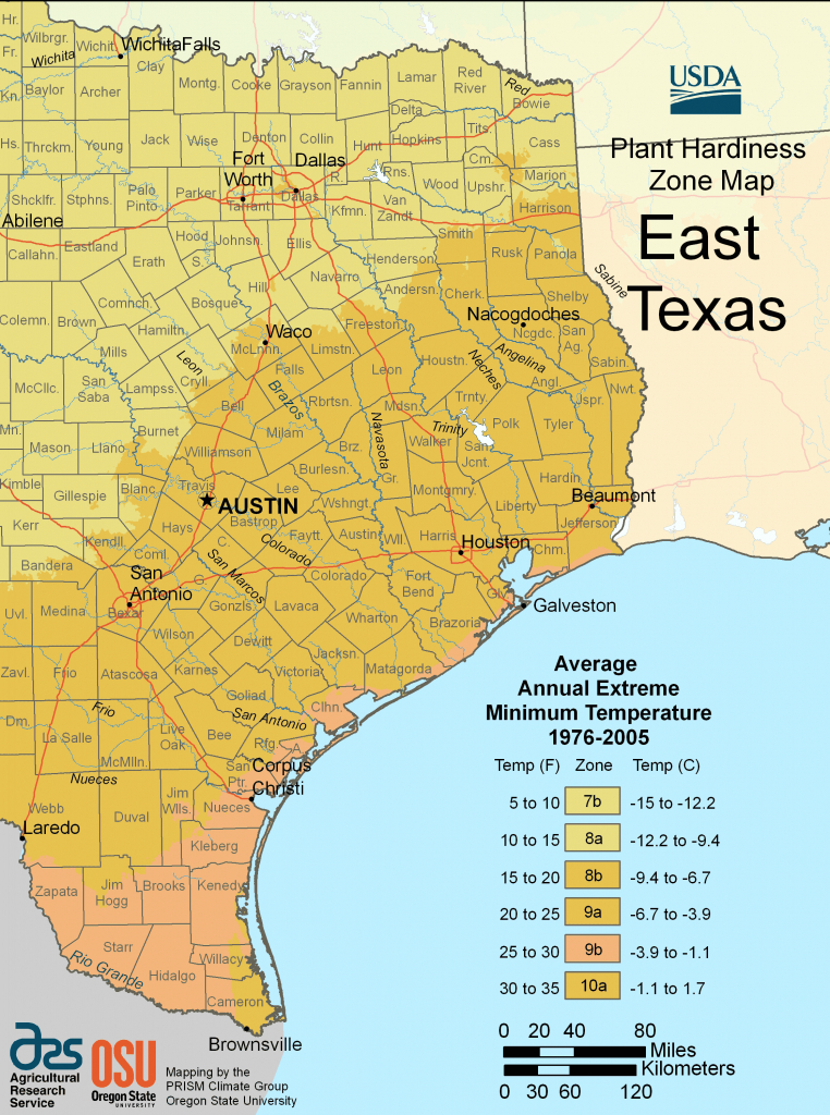 East Texas Plant Hardiness Zone Map • Mapsof - Texas Growing Zone Map