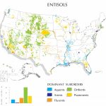Entisols Map | Nrcs Soils   Florida Soil Types Map