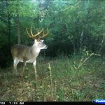 Exclusive: Peak 2016 Rut Forecast For Southern Deer Hunters     Deer Rut Map Texas