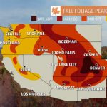 Fall Foliage Finder   Following Fall   California Fall Color Map