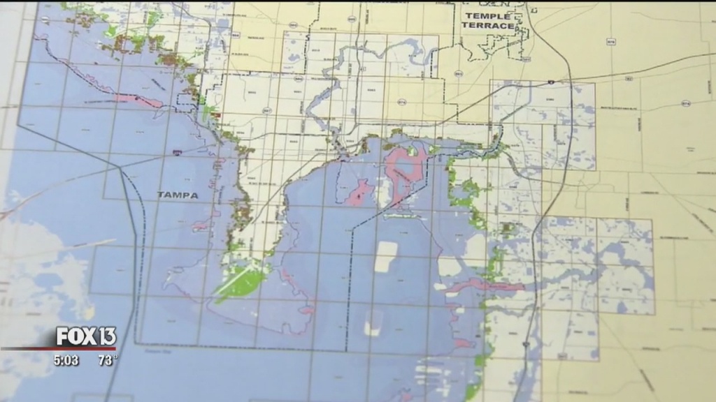 Fema Proposes New Flood Maps For Hillsborough, Pinellas Counties - Flood Zone Map Hillsborough County Florida