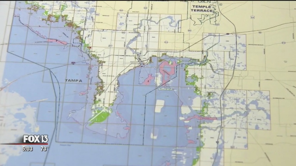 fema flood zone map hillsborough county