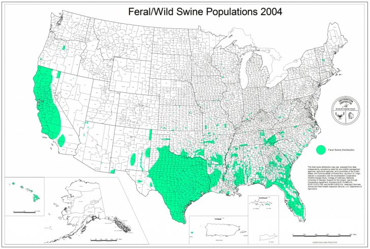 Florida Wild Hog Population Map