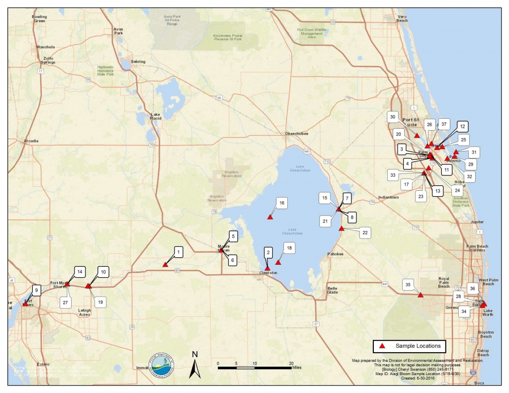 current algae bloom map florida