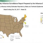 Florida Among 46 States With Widespread Flu Outbreaks   Flu Map Florida