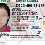 Florida Driver Licenses To Get New Design   Sexual Predator Map Florida