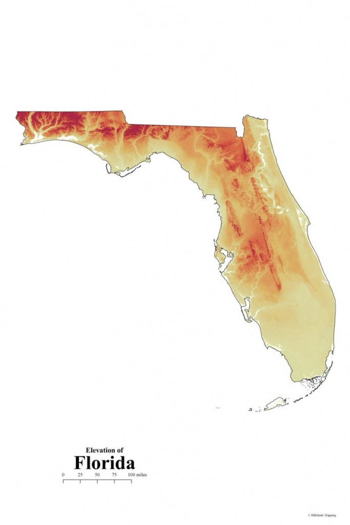 Florida Elevation Map | Etsy - Florida Elevation Map By Address