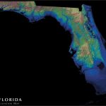 Florida Elevation Map : Florida   Florida Elevation Map