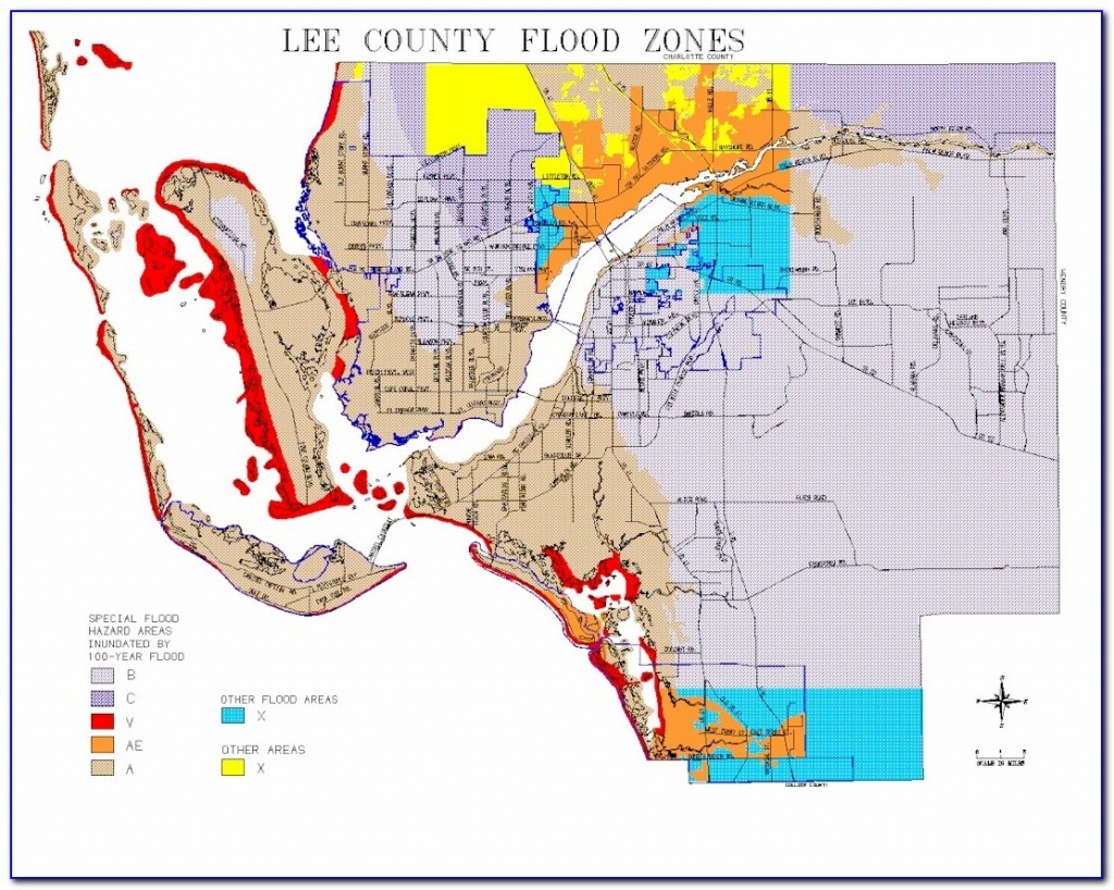 fema flood zone map manatee county