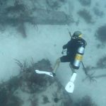 Florida Keys Dive Sites Listing   Islamorada Dive Centerislamorada   Florida Keys Dive Map