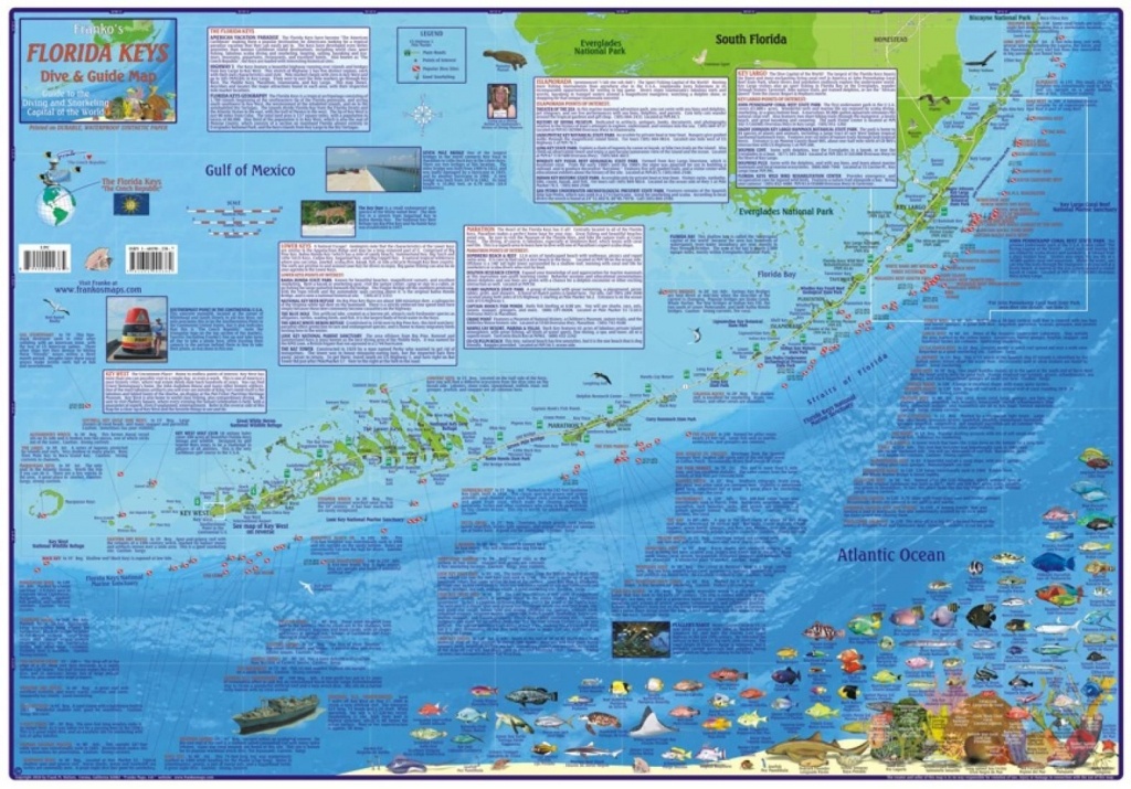 Florida Map, Florida Keys Guide And Dive,laminated, 2010Frankos - Florida Keys Dive Map