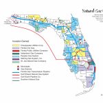 Florida Natural Gas Utilities · Avalon Energy   Florida Natural Gas Map