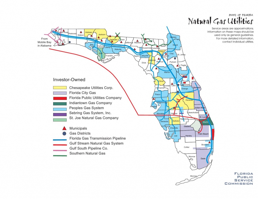Florida Natural Gas Utilities · Avalon Energy - Natural Gas Availability Map Florida