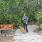 Florida State Parks Pet Policy | Florida State Parks   Florida State Parks Rv Camping Map