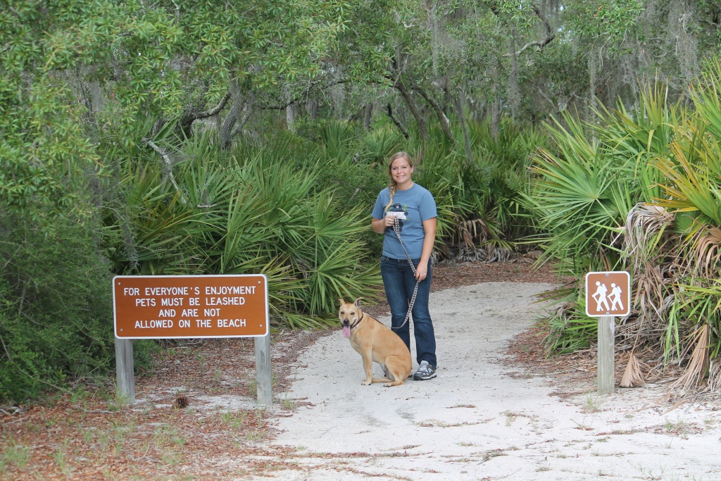 Florida State Parks Pet Policy | Florida State Parks - Florida State Parks Rv Camping Map