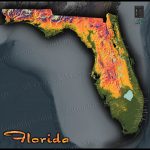 Florida Topography Map | Colorful Natural Physical Landscape   Florida Elevation Map Above Sea Level