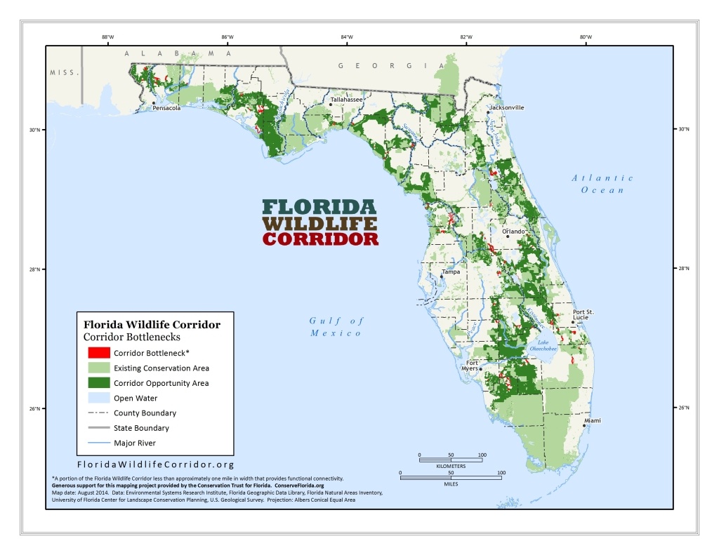 Florida Wildlife - Panthers &amp;amp; Black Bears | Sierra Club - Bears In Florida Map