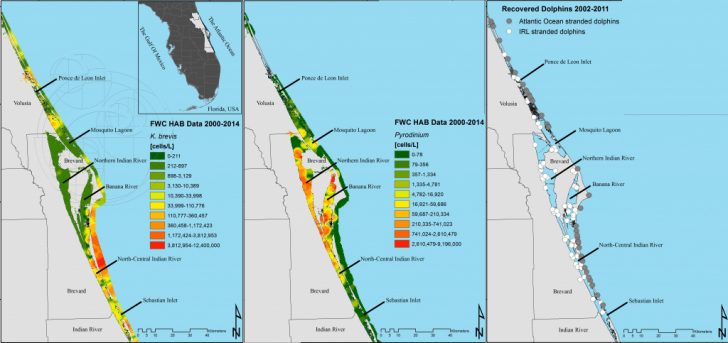 Food Web Dynamics Of Harmful Algal Toxins In Florida Dolphins - Florida ...