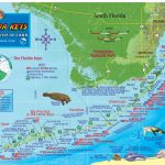 Franko Maps Florida Keys Reef Creatures Card   Florida Keys Dive Map
